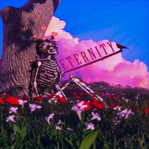 Portada de Eternity