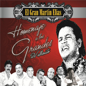Homenaje a Los Grandes Del Vallenato album