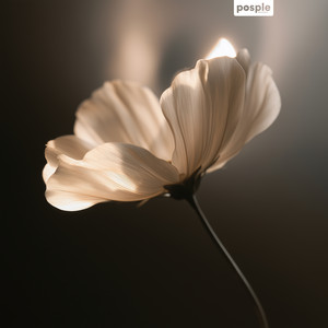 Soft Eclipse by Liam Starling