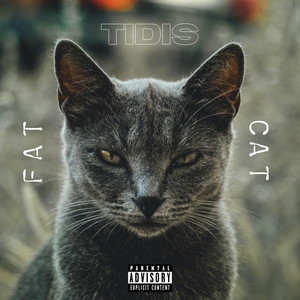 Tidis - Fat Cat