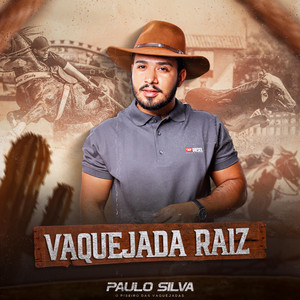 paulo silva - Amei uma Mulher
