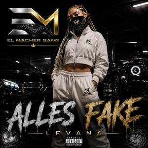 Alles Fake by Levana
