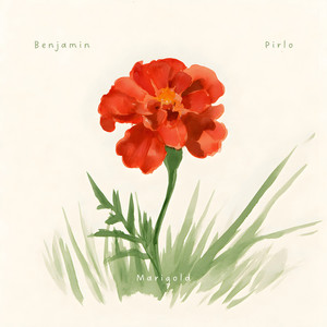 Marigold by Benjamin Pirlo