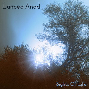 Sights Of Life by Lancea Anad