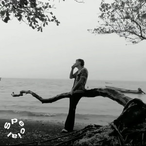 STEVEN REEF - Special