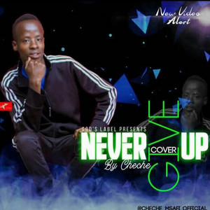Real cheche music - Never give up cover