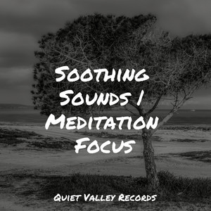 Soothing Sounds | Meditation Focus For Dogs