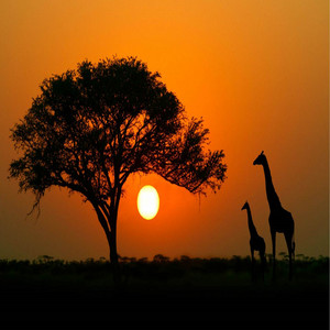 Dj Menor - La Matraca Menorista (Remix)