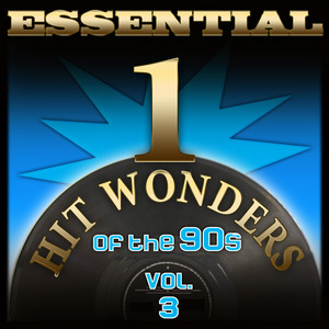 Essential One-Hit Wonders of the 90s-Vol.3 album