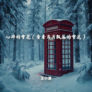 心碎的雪花（看着片片飘落的雪花） by 王小潇