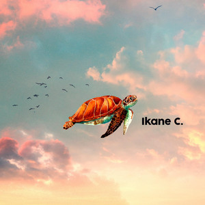 Turtles