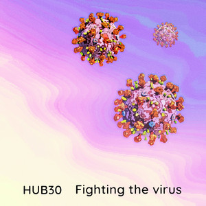 Fighting the virus by Hub30
