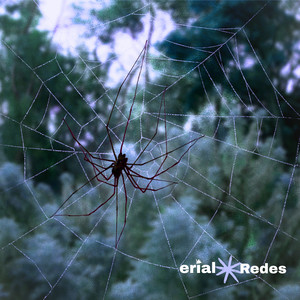 Redes by Erial