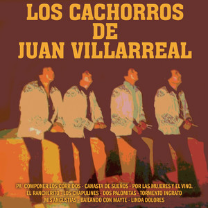 Los Cachorros de Juan Villarreal - Pa' Componer Los Corridos
