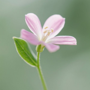 PERRIN JUNIOR SA - YOU ARE NOT ALONE