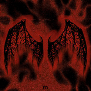 Fly