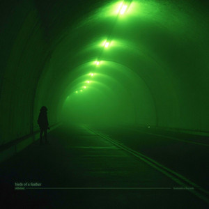 birds of a feather - ambient version by stillsilent.