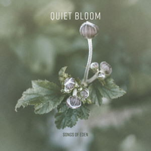 Quiet Bloom by Songs Of Eden