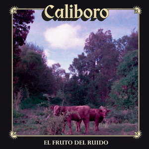 El niño que by El fruto del ruido