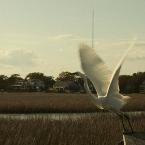 Lowcountry Highcountry by The Bluestone Ramblers
