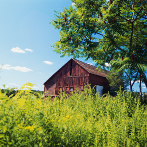 Alê Chaves - Heavenly Breath