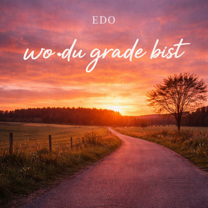 Wo du grade bist by EDO