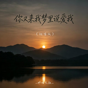 你又来我梦里说爱我 - 烟嗓版 by 沙哑大叔