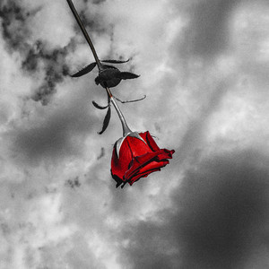 Oublier De Penser by ANAMORFOZ