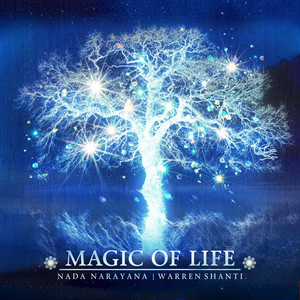 Magic of Life (528Hz) by Warren Shanti, Nada Narayana