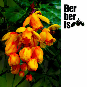 Berghain - Original Mix