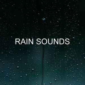 Rain Sounds album
