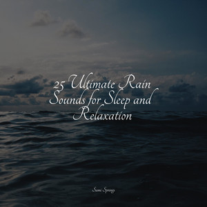 25 Ultimate Rain Sounds for Sleep and Relaxation album