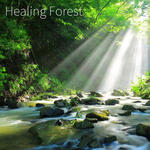 Healing Piano Japan - Souls in the Wind
