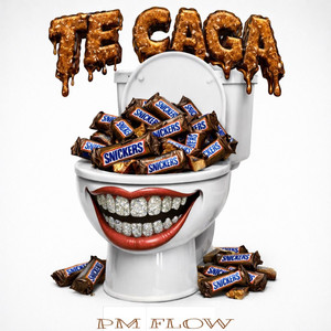 Te caga by PM FLOW
