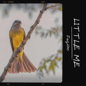 Little Me - Radio Edit by Fuzion
