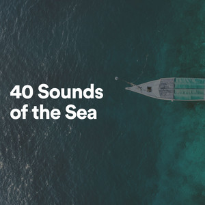 40 Sounds of the Sea album