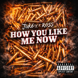 Juk6ix - How You Like Me Now (feat. Ross)