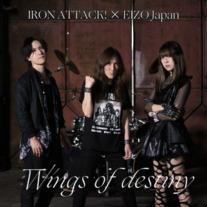 Wings of destiny by IRON ATTACK!, Eizo Japan