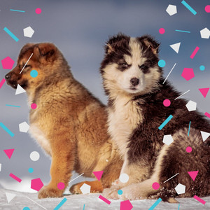 No Drums Jazz - Background Music for Walks with Dogs album