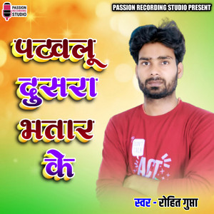 Rohit Gupta - Patawalu Dusra Bhataar