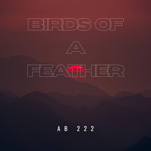 AB 222 - BIRDS OF A FEATHER (Slow Version)
