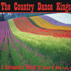 A Retrospective Tribute to Brooks & Dunn, Vol. 2 album