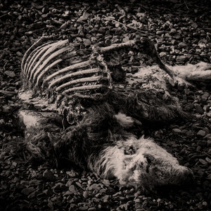 Pictures by Identity Crisis