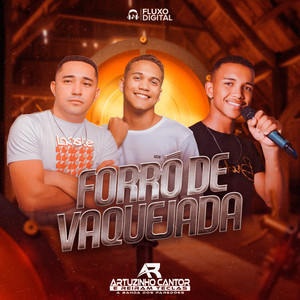 Artuzinho Cantor - Caçador da Ema