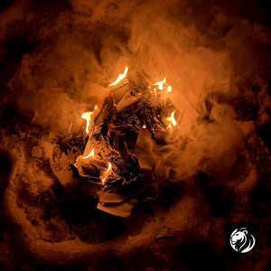 Through the fire by Lili Sanchez