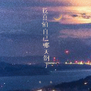 我真怕自己哪天倒下 - 烟嗓男版 by 张良