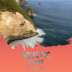 zZz Aquatic Seaside White Noise zZz album