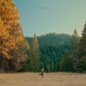 Woods by Ben Thuesen
