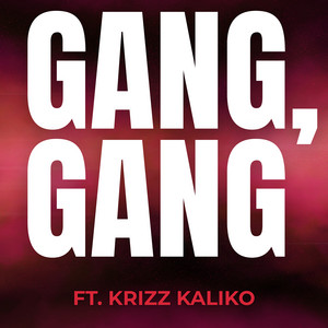 Gang, Gang