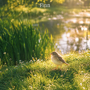 Chilling Day (Morning Nature) by Finn